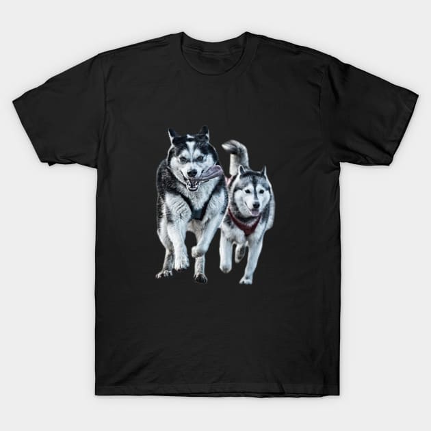 Siberian Huskies T-Shirt by raiseastorm